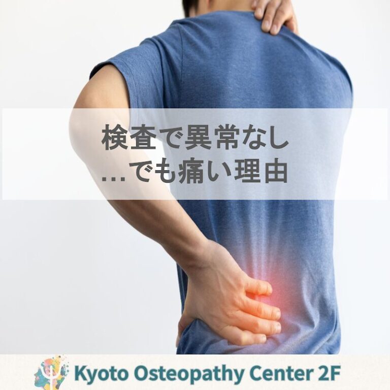 体性機能障害（ソマティック・ディスファンクション）とは？画像に写らない不調の正体