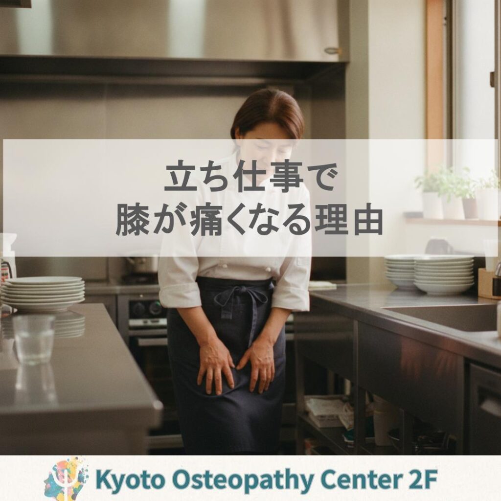 立ち仕事で膝が痛くなる理由｜京都・中京区のオステオパシー｜変形性膝関節症