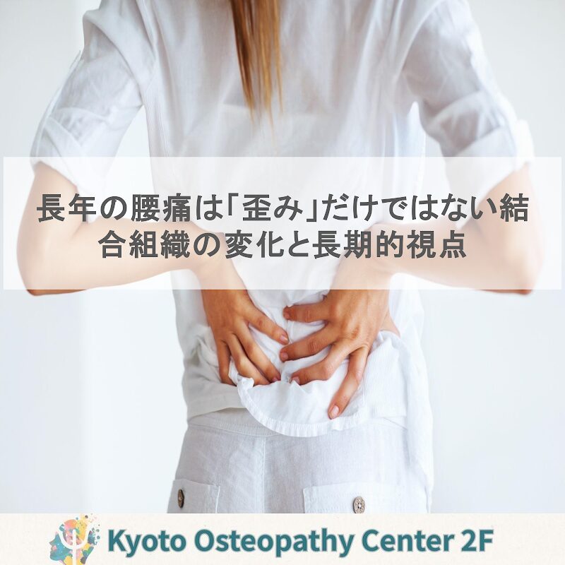 長年の腰痛は「歪み」だけではない——50〜60代女性の結合組織の変化と、体を立て直す長期視点|腰痛